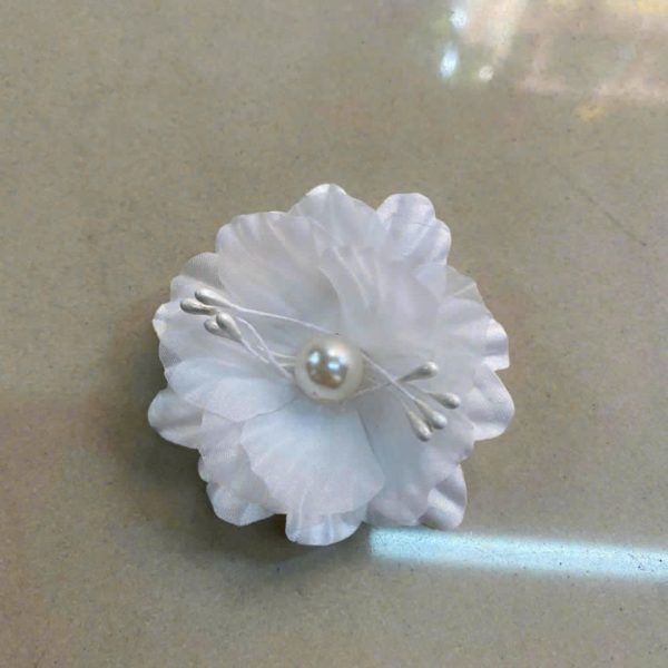 Mẫu Số 01