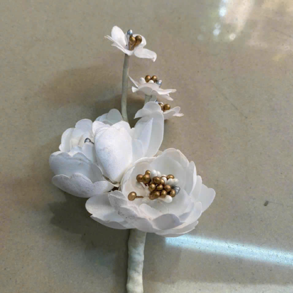 Mẫu số 02