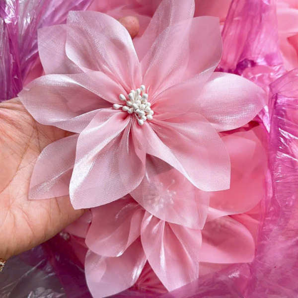 Mẫu số 15