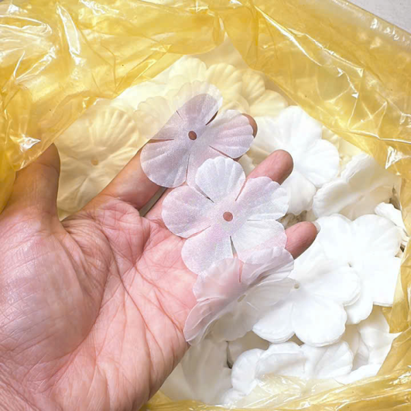 Mẫu số 22