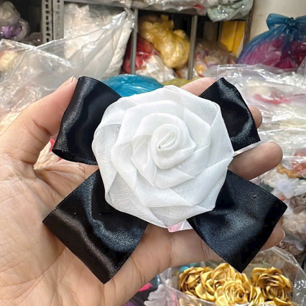Mẫu số 29