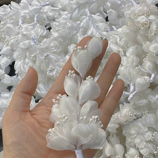 Mẫu số 46