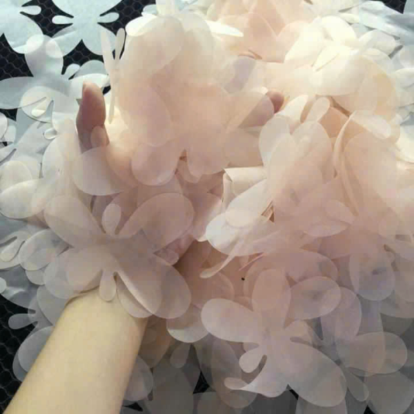 Mẫu số 53