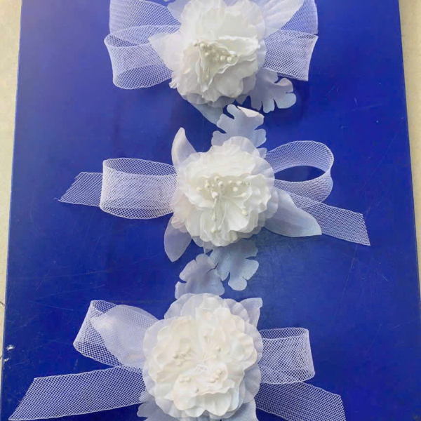 Mẫu số 55
